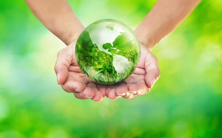 environment 768x480 1
